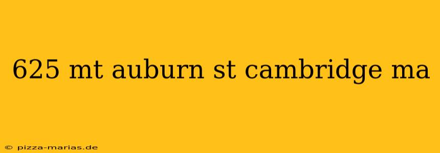 625 mt auburn st cambridge ma