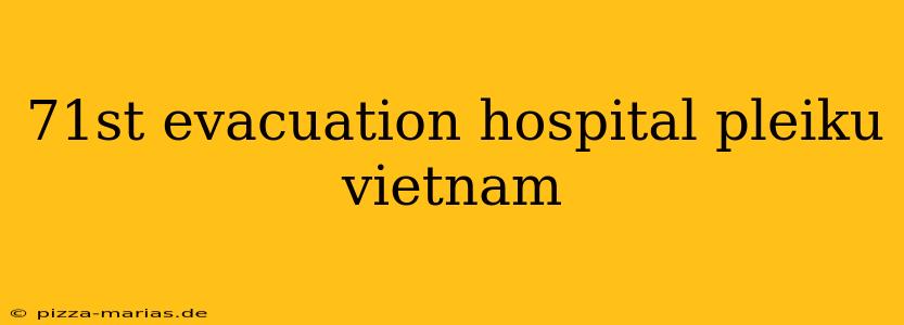 71st evacuation hospital pleiku vietnam