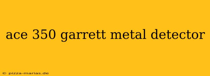 ace 350 garrett metal detector