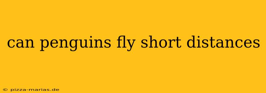 can penguins fly short distances