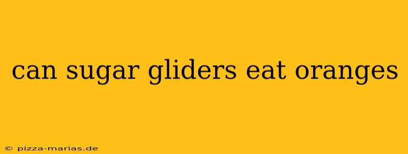 can sugar gliders eat oranges