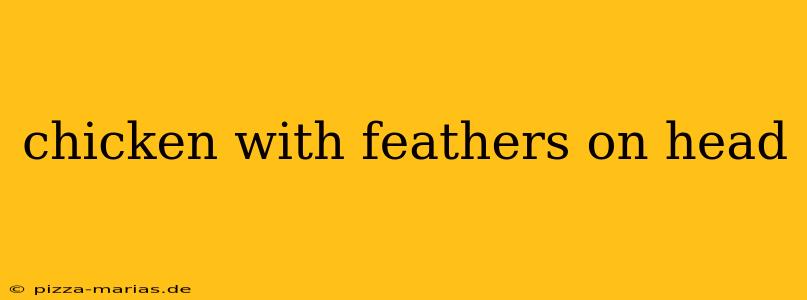 chicken with feathers on head