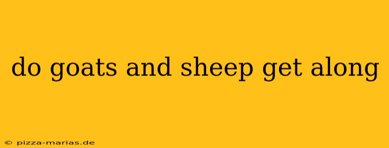do goats and sheep get along