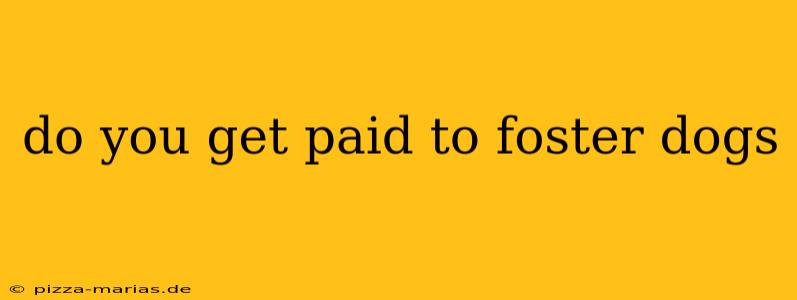 do you get paid to foster dogs