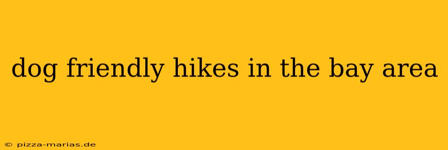 dog friendly hikes in the bay area