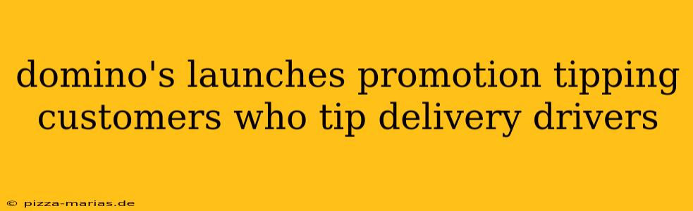 domino's launches promotion tipping customers who tip delivery drivers