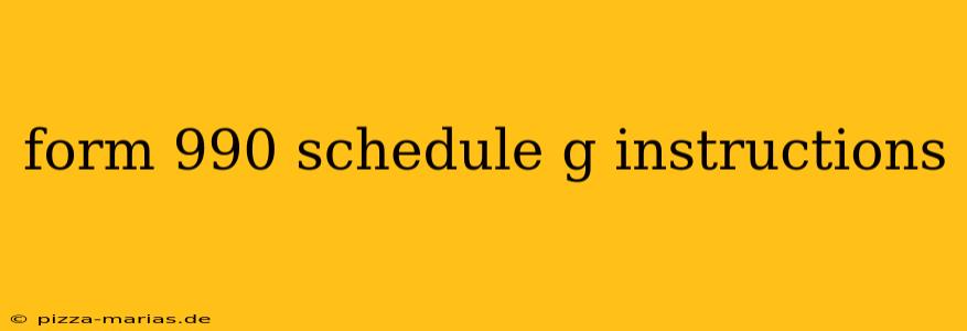 form 990 schedule g instructions