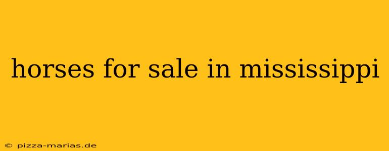 horses for sale in mississippi
