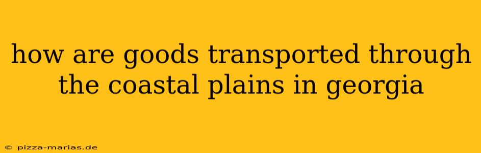 how are goods transported through the coastal plains in georgia