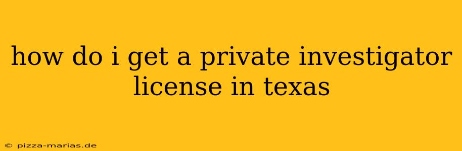 how do i get a private investigator license in texas