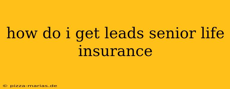 how do i get leads senior life insurance