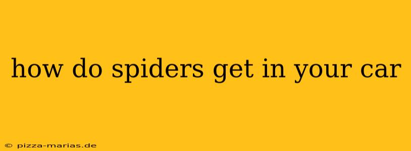 how do spiders get in your car