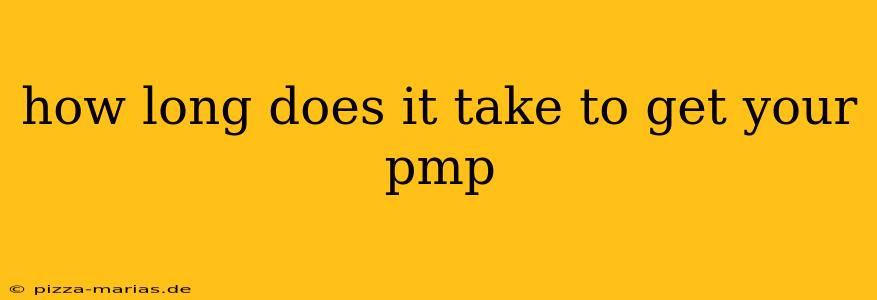 how long does it take to get your pmp