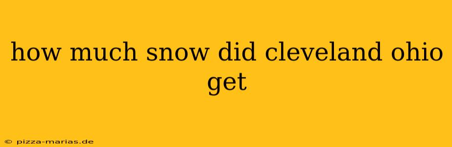 how much snow did cleveland ohio get
