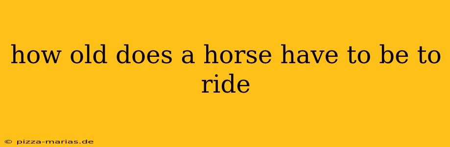 how old does a horse have to be to ride