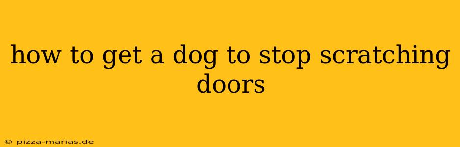 how to get a dog to stop scratching doors