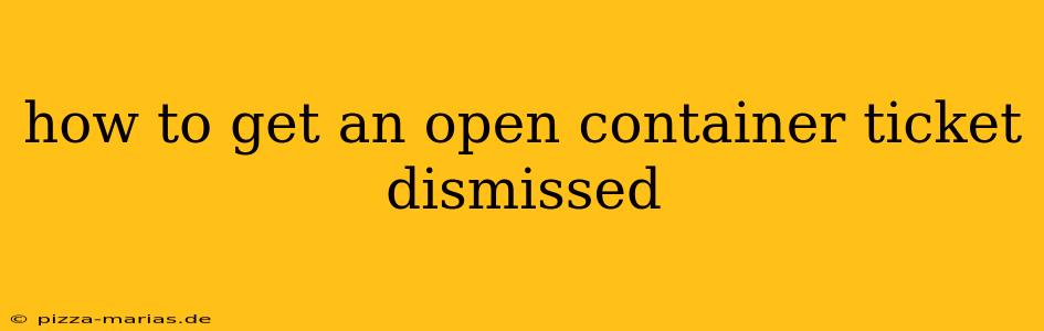 how to get an open container ticket dismissed