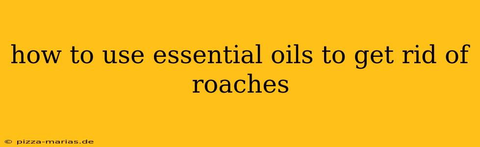 how to use essential oils to get rid of roaches