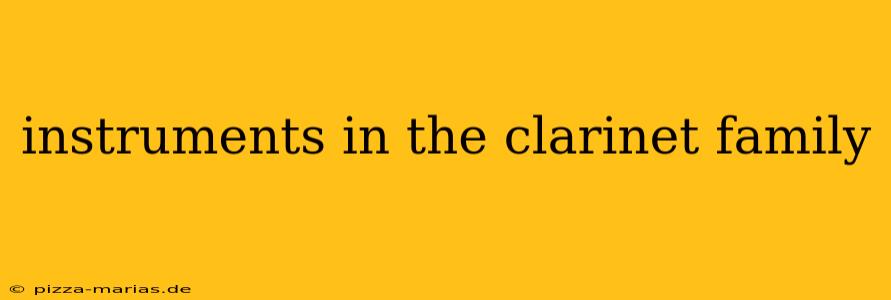 instruments in the clarinet family