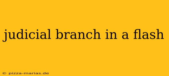 judicial branch in a flash
