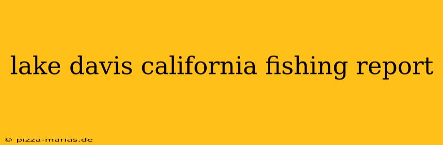 lake davis california fishing report