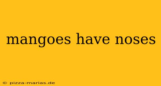 mangoes have noses