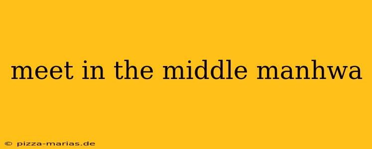 meet in the middle manhwa