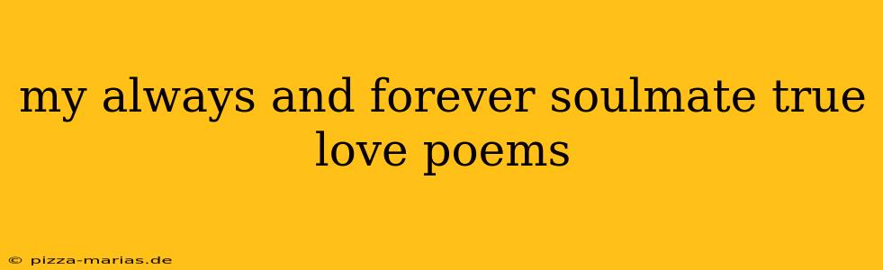 my always and forever soulmate true love poems
