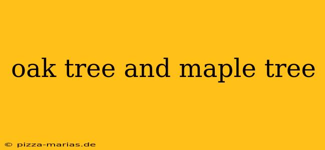 oak tree and maple tree