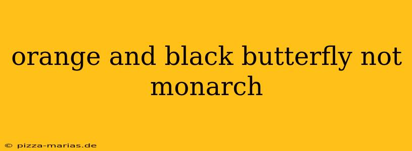 orange and black butterfly not monarch