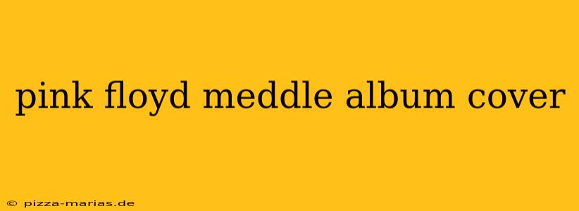 pink floyd meddle album cover