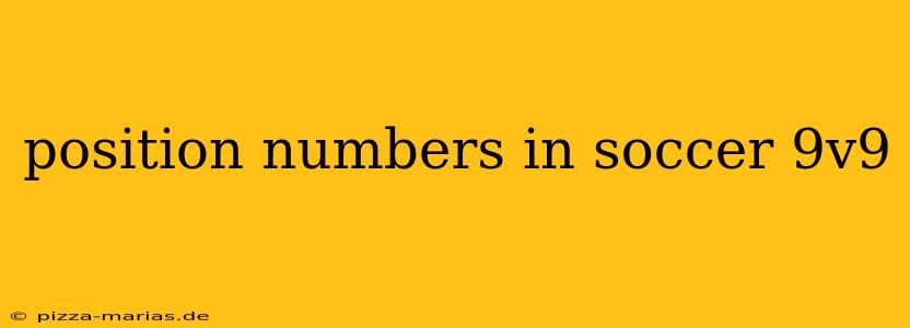 position numbers in soccer 9v9