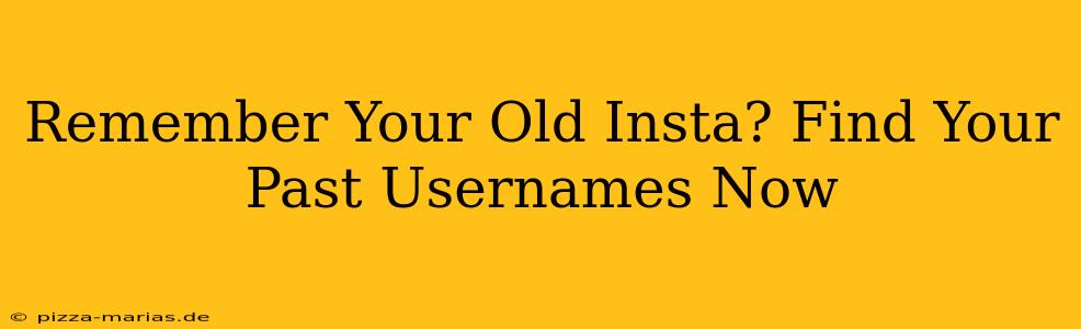 Remember Your Old Insta? Find Your Past Usernames Now