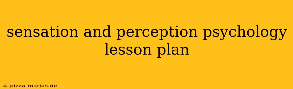 sensation and perception psychology lesson plan
