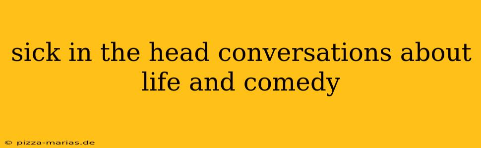 sick in the head conversations about life and comedy