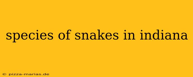 species of snakes in indiana