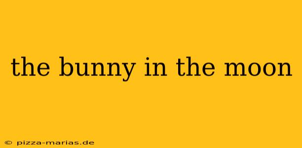the bunny in the moon