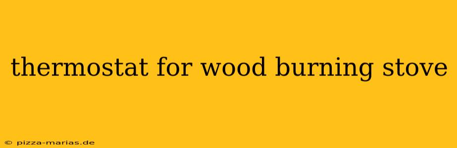 thermostat for wood burning stove