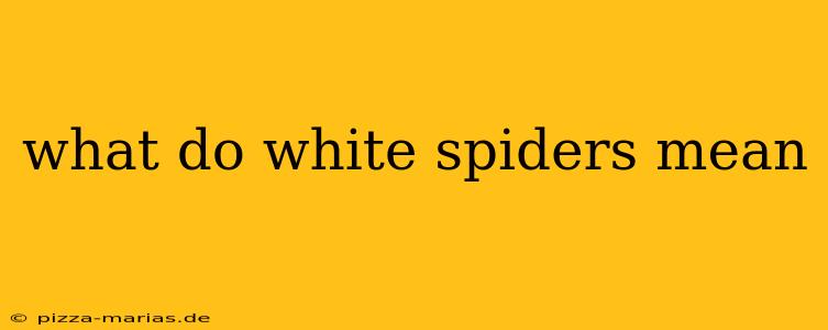 what do white spiders mean