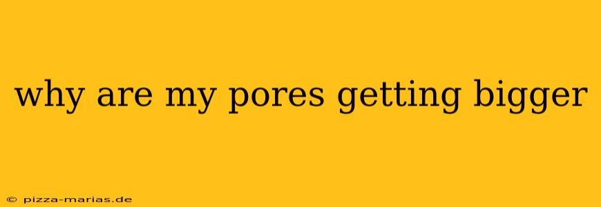 why are my pores getting bigger